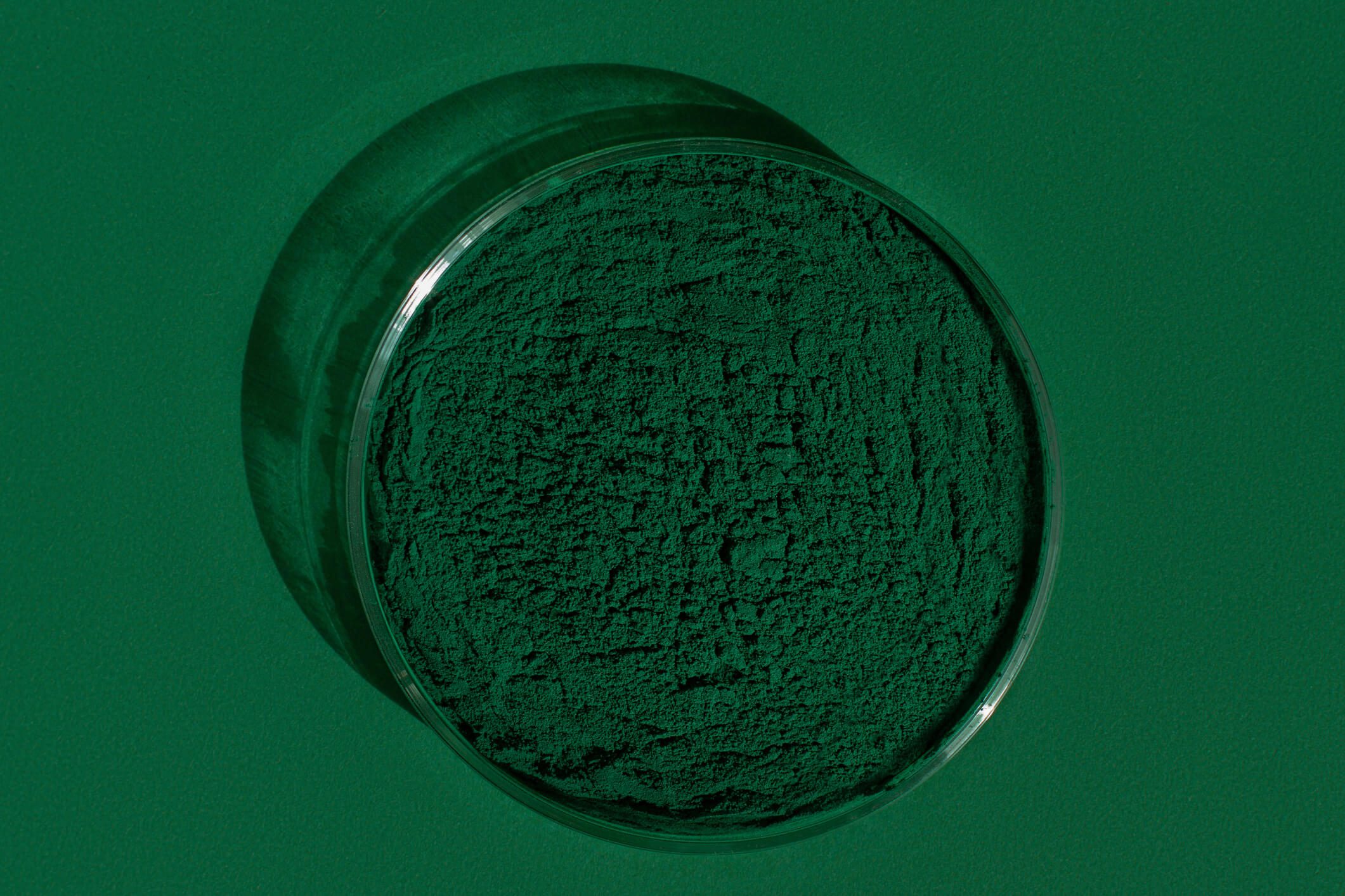 The Fascinating Process of Spirulina Production Unveiling Nature's