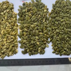 Pumpkin Seeds - Abbott Blackstone International - 0001