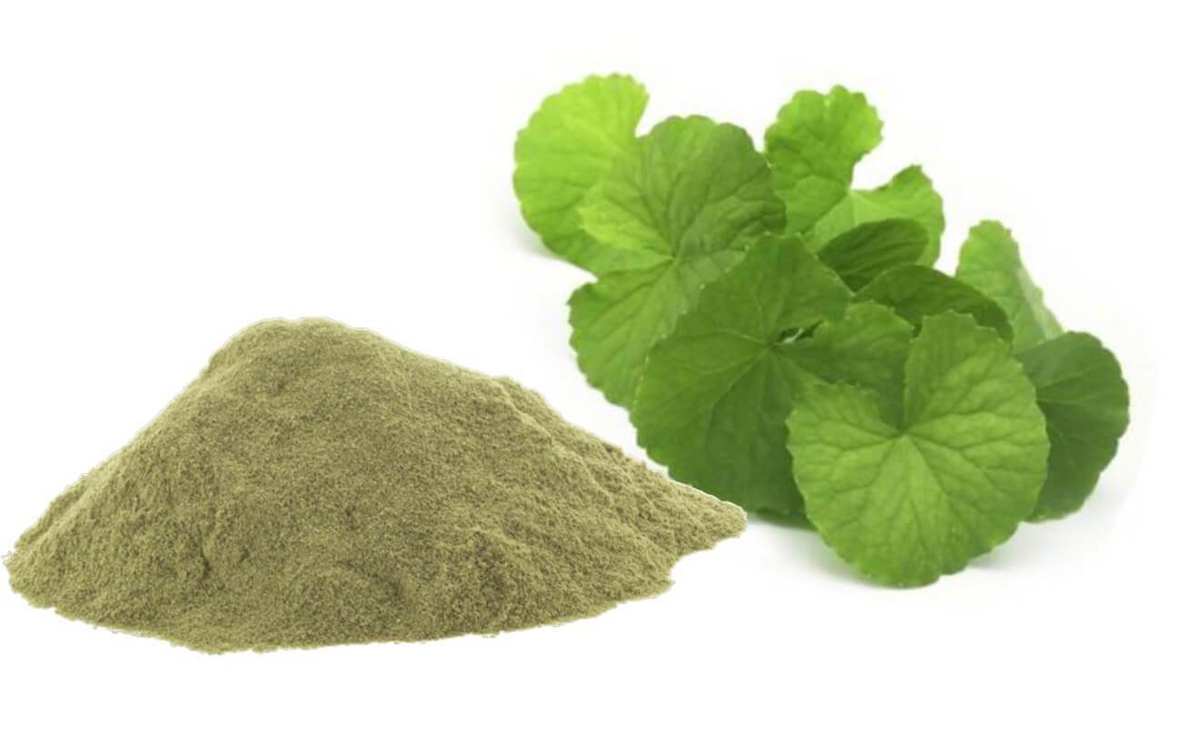 Brahmi Powder