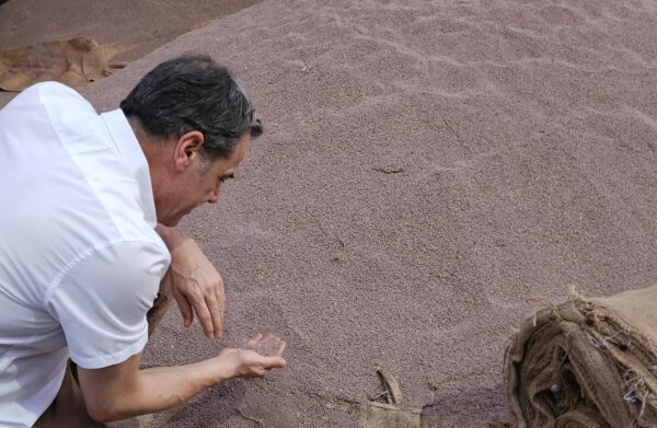 Visiting our Psyllium Producers: a Journey to Ensure Quality and Reliability