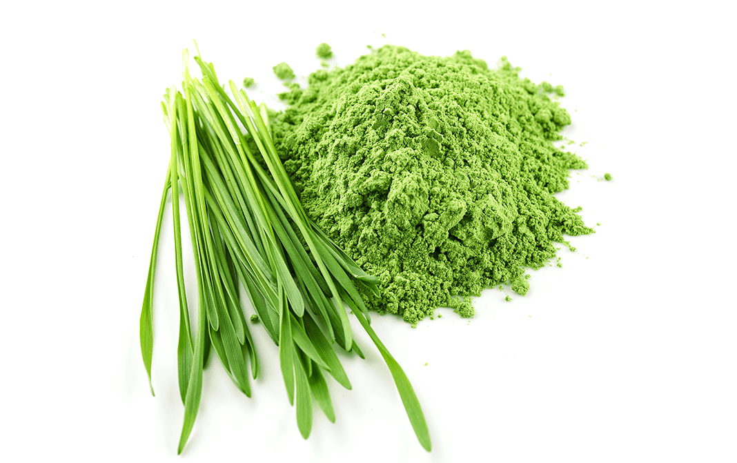 Organic Barley Grass Powder 